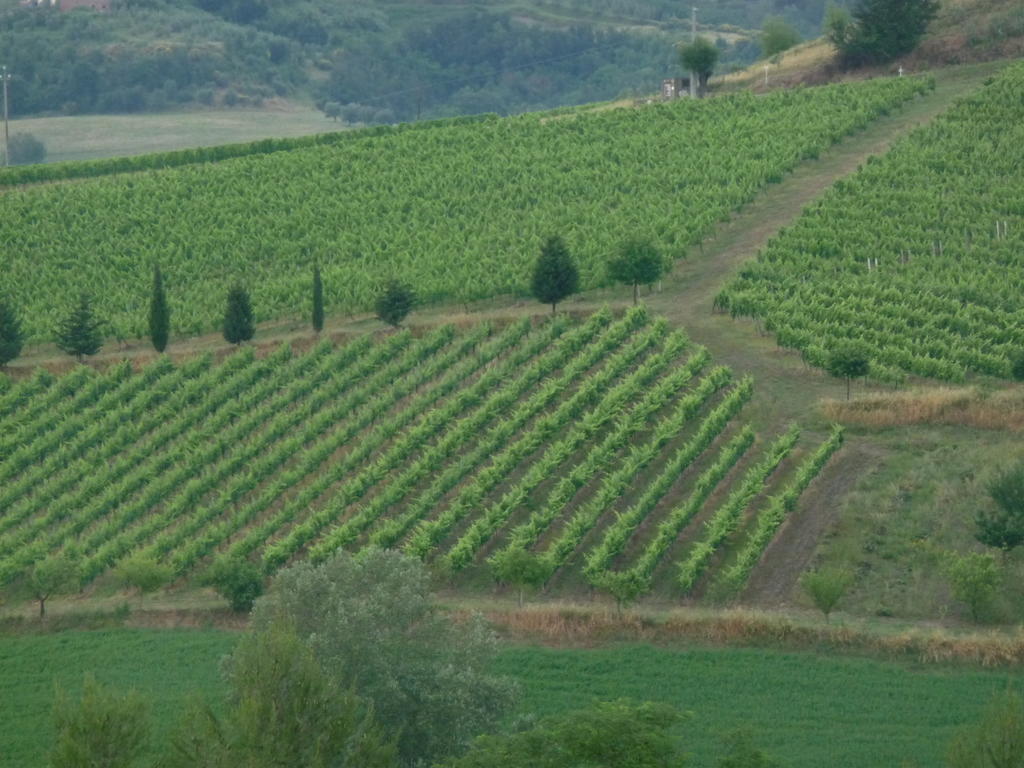 Azienda Agricola Ed Agrituristica Cafaggio Villa ซานมีเนียโต ภายนอก รูปภาพ